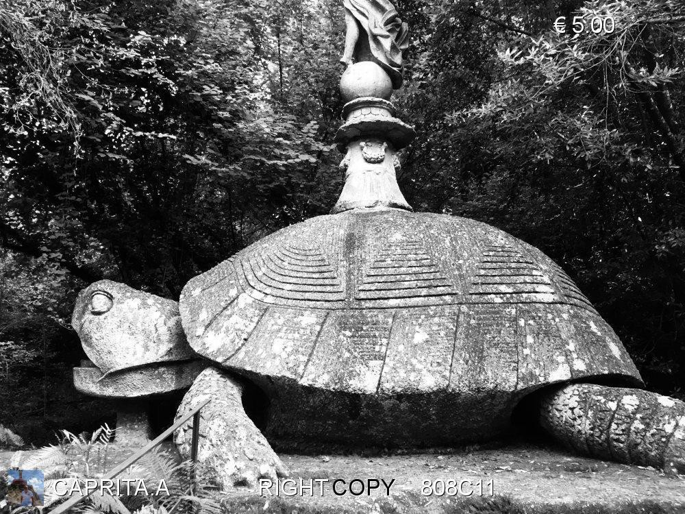 Tartaruga di Bomarzo 