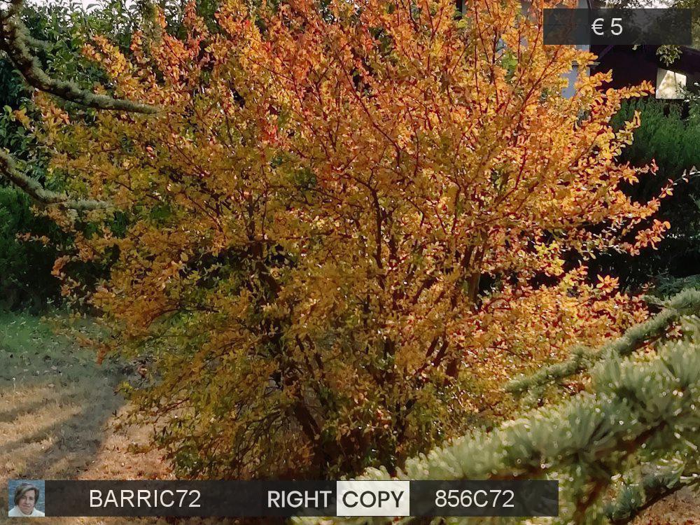 Colori di settembre - Gamalero(Al) - 16/09/2020